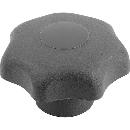 Kipp Star Grip Antibacterial To DIN6336 D1=40 D=M08 H=25, Form:K, Plastic Gray Ral7015, Comp:Stainless K0154.12208144